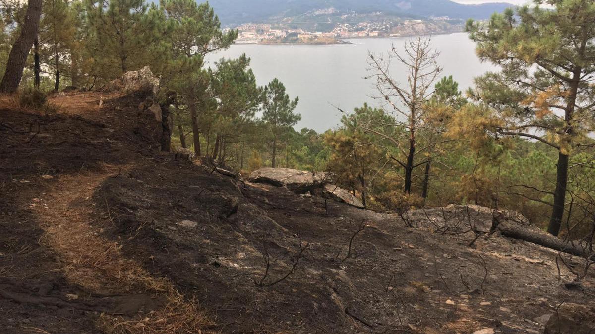 EL fuego se originó en la ladera que da a la ría de Baiona // FdV