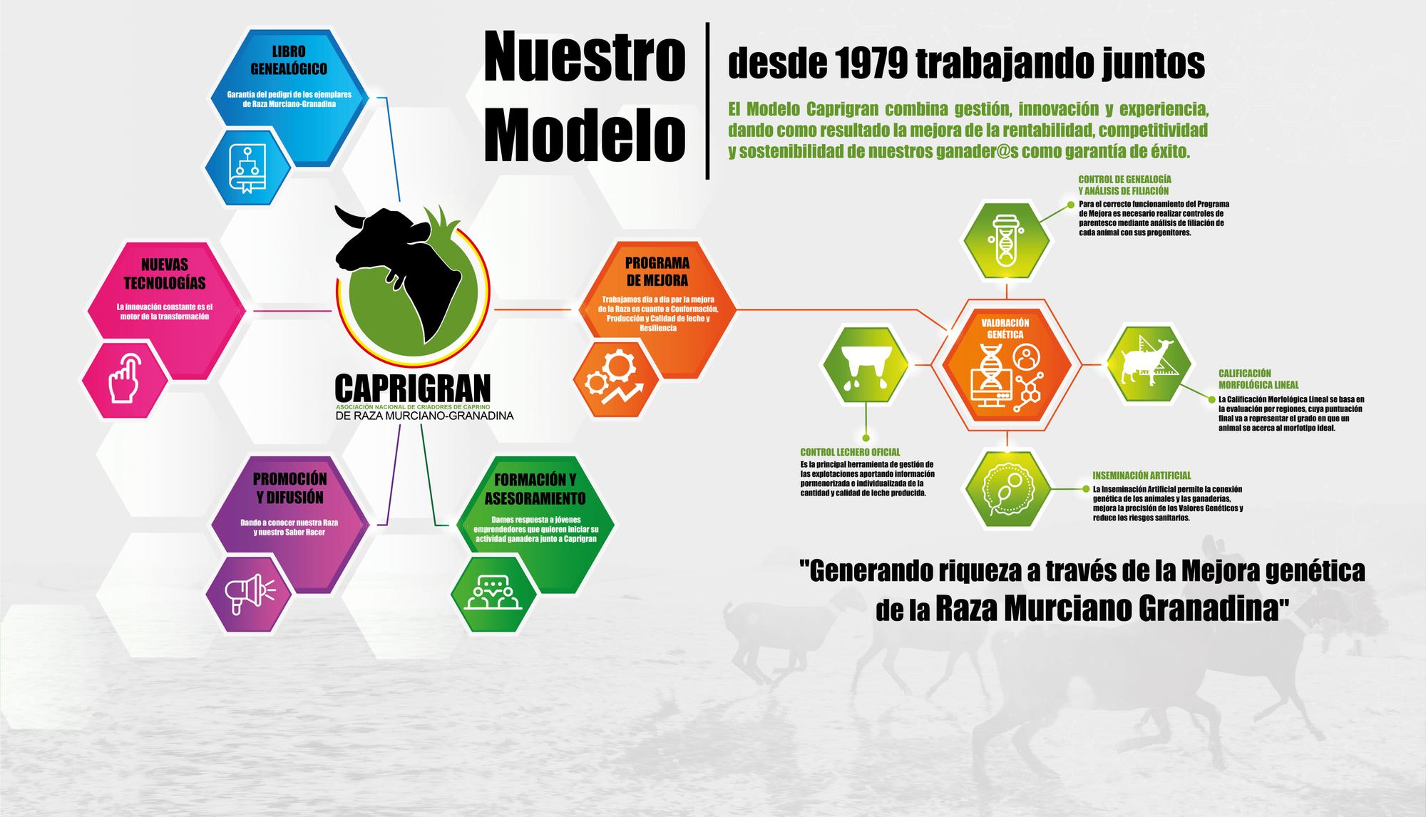 Modelo de producción de la Raza Murciano Granadina