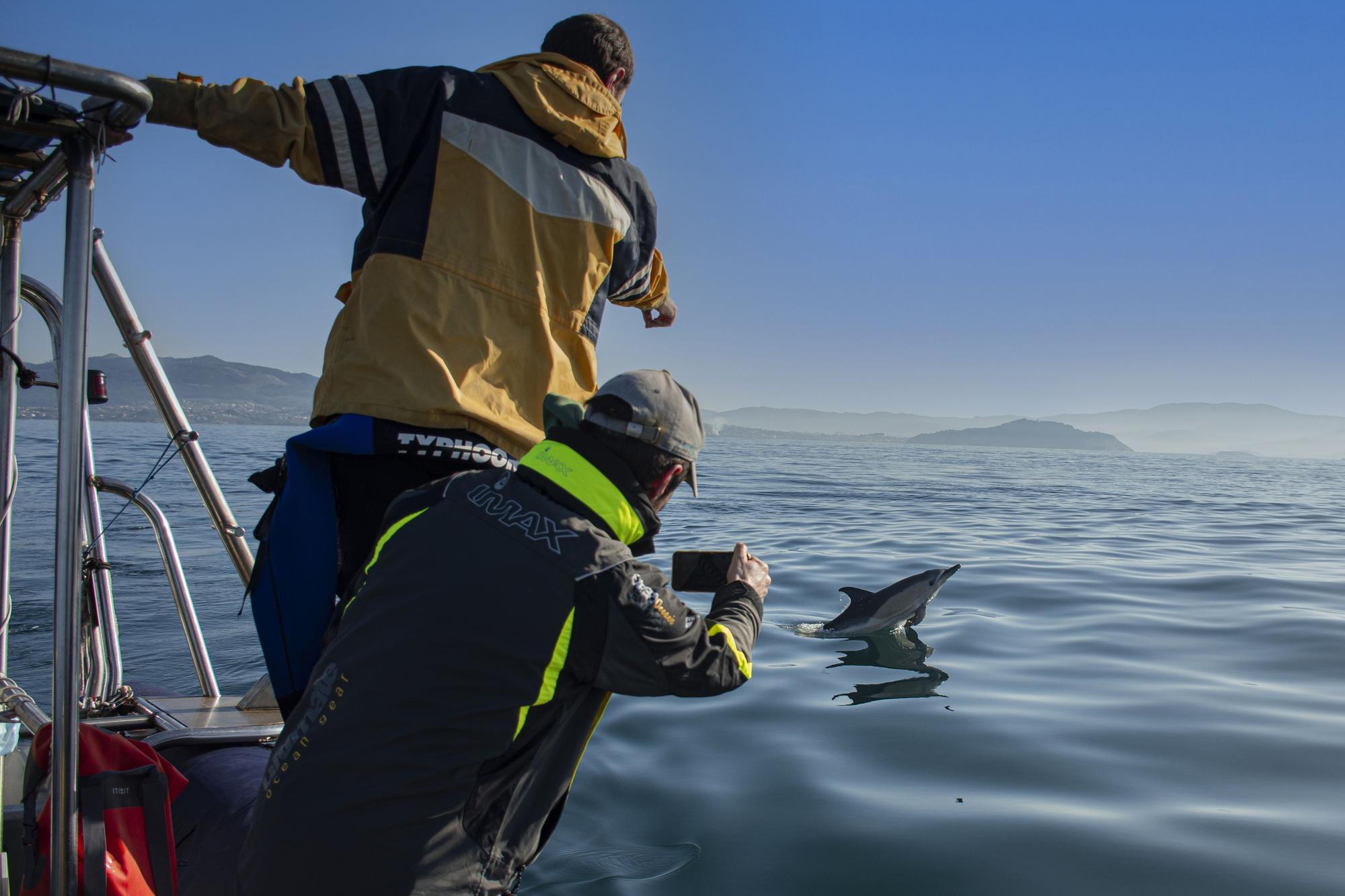 Investigadores del CSIC fotografían a los delfines.