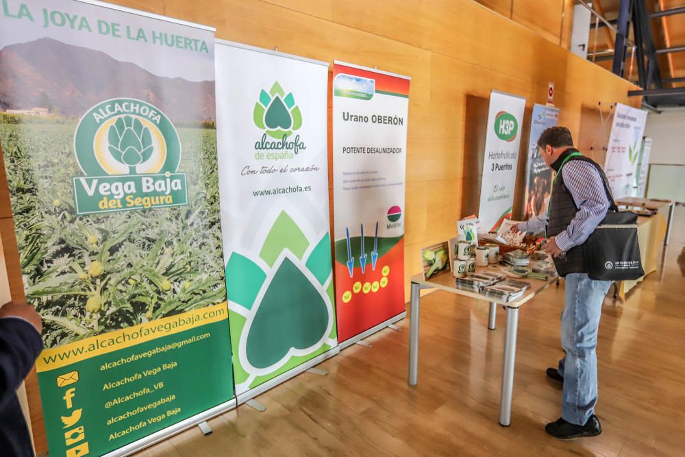 Orihuela acoge hasta el viernes el X Simposio Internacional de la Alcachofa con ponencias, stands y los mayores expertos en este cultivo estrella en la Vega Baja.