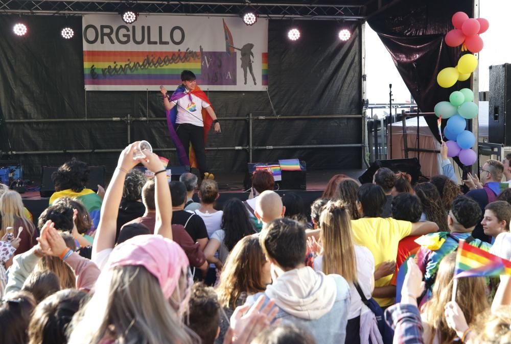 Vigo celebra la diversidad con ''''orgullo''''. // Alba Villar | FdV