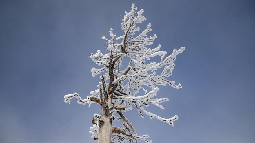Continúa el aviso amarillo por nieve en la zona de la Sierra de Madrid: esta es la predicción para este viernes en el resto de la capital