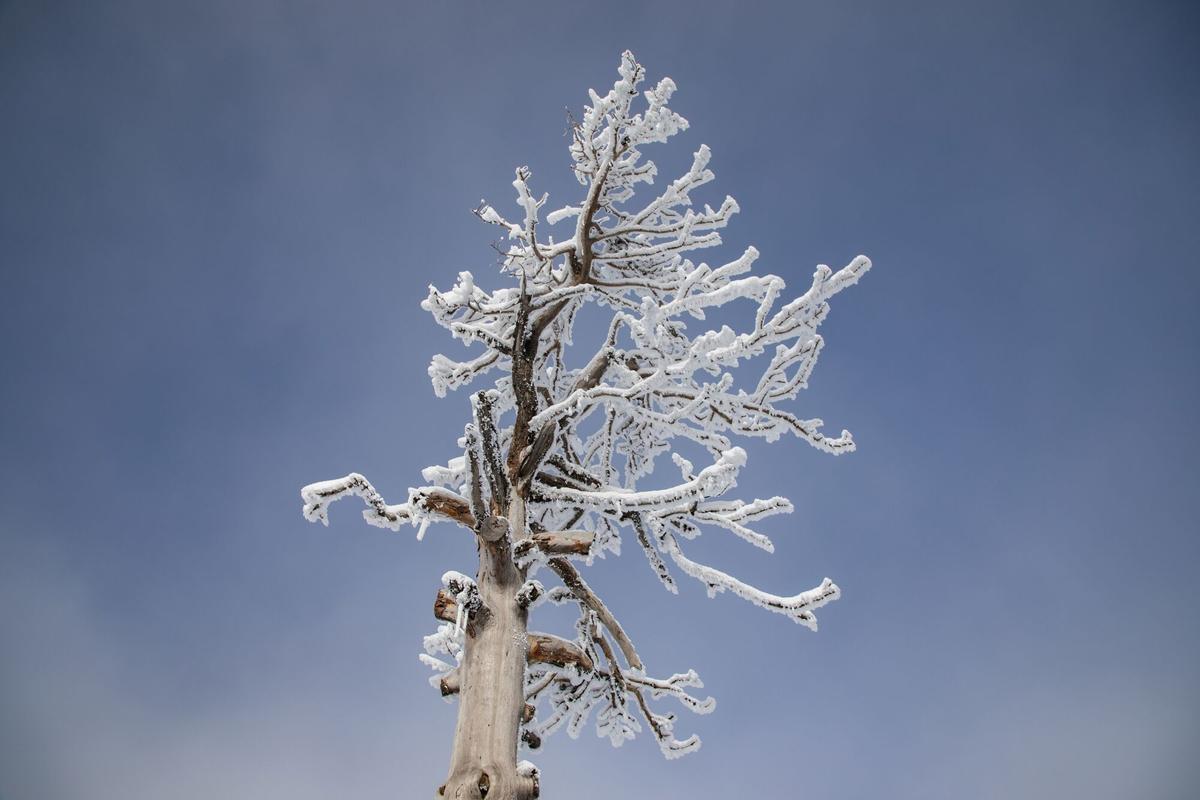 Nieve en Navacerrada, Madrid.