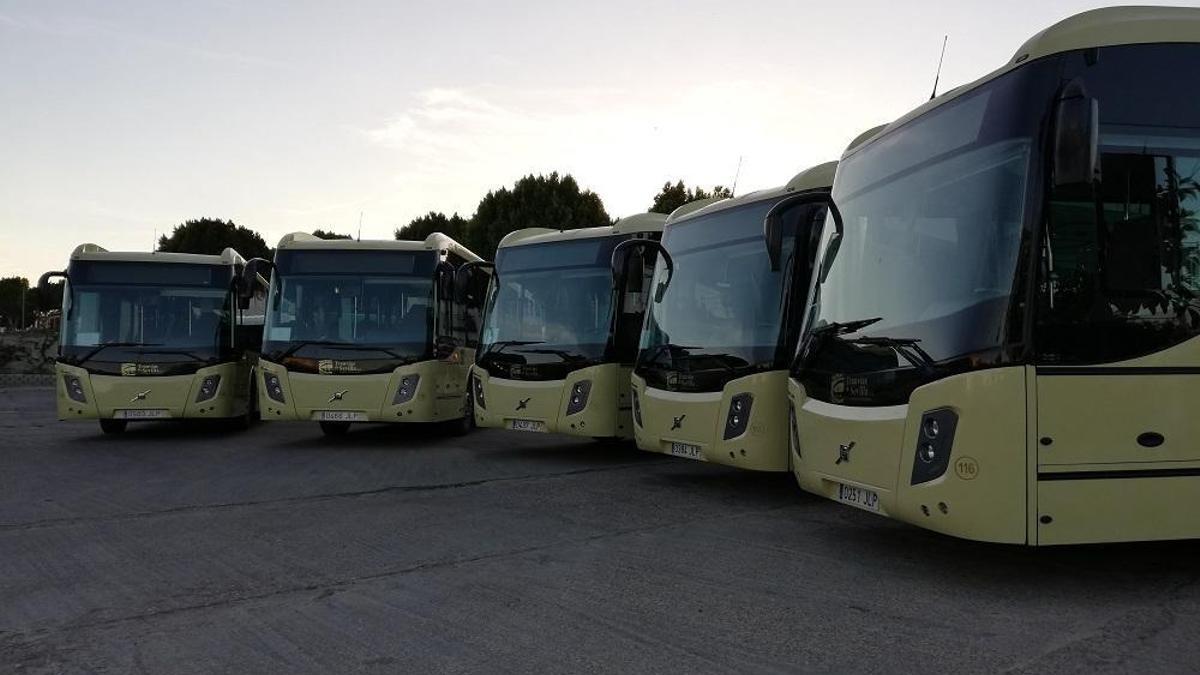 Autobuses del Consorcio de Transportes en Córdoba.