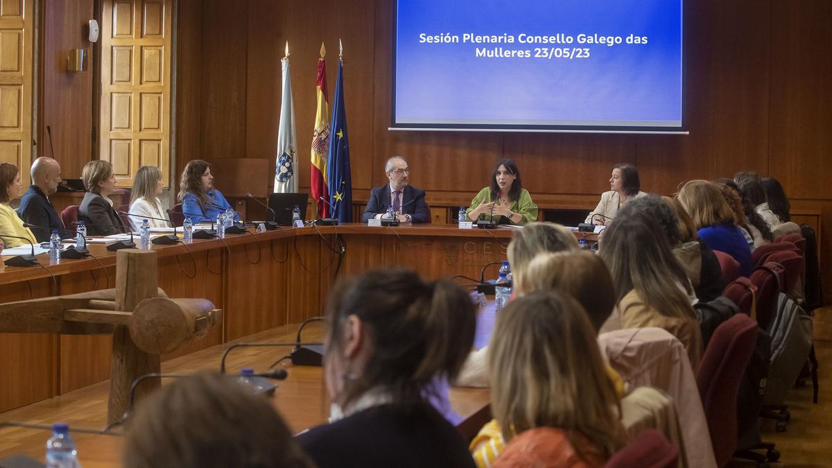 A conselleira de Promoción do Emprego e Igualdade, María Jesús Lorenzana, participa no Consello Galego das Mulleres