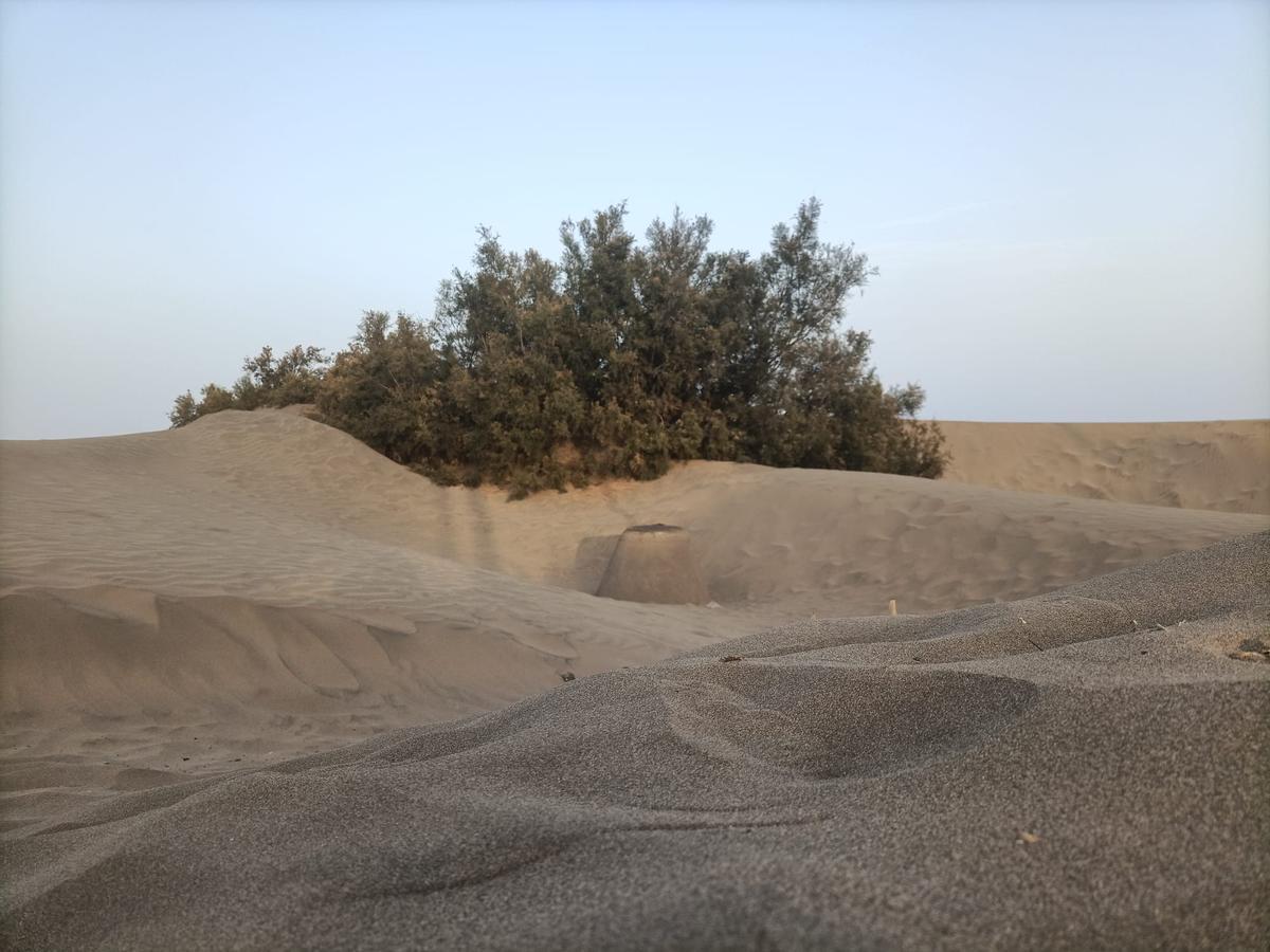 Boca de la red de alcantarillado en las dunas de Maspalomas.