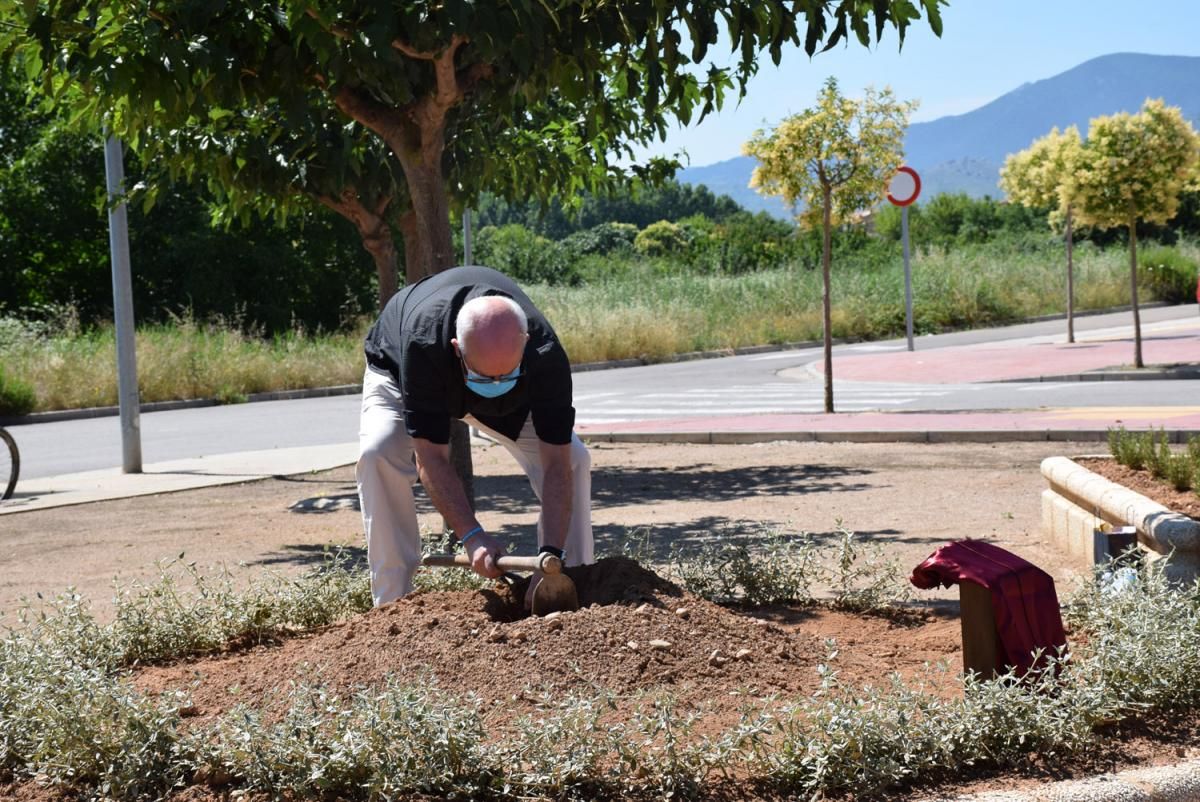 Homenaje a las víctimas del Covid-19