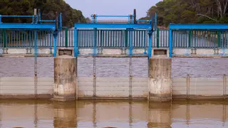Medio Ambiente abre las compuertas de l'Albufera al recibir tras la dana 1 millón de metros cúbicos de vertidos