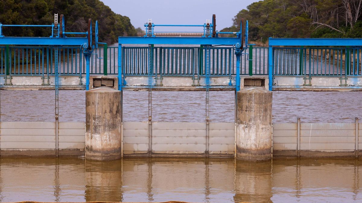 Compuertas de la Gola de Puchol que permanecerán abiertas de lunes a viernes para intentar mejorar el estado de l'Albufera.
