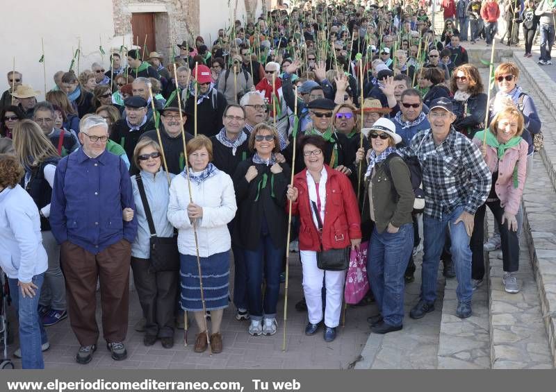 GALERÍA DE FOTOS - Romería Magdalena 2014 (4)