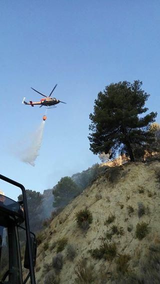 Controlado un incendio forestal en Bolulla