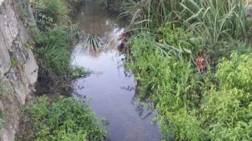 Vecinos de As Brañas critican el retraso en limpiar el río para evitar inundaciones