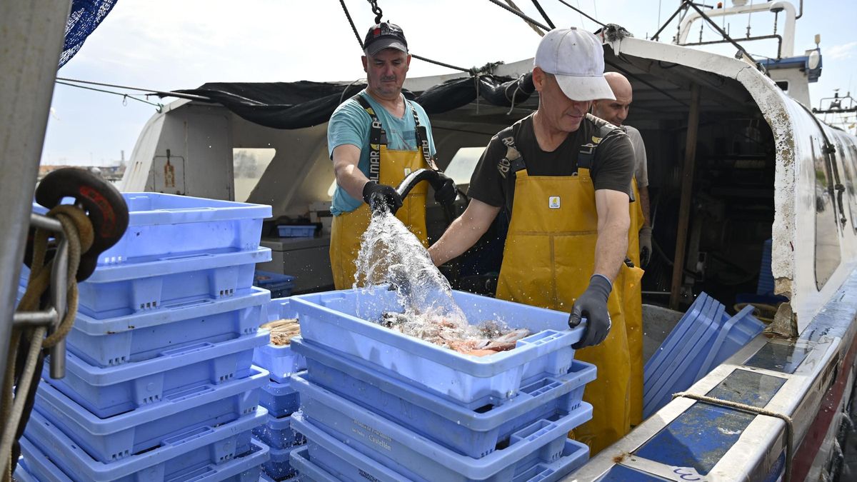 Dos marineros limpian una caja de pescado en la lonja del Grau de Castelló, en una imagen reciente.