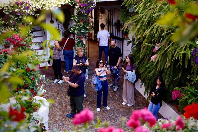 Los Patios de Córdoba más premiados en el concurso