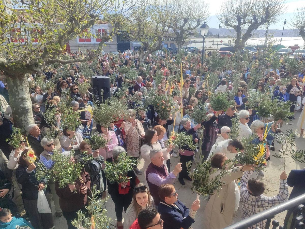 Así se vivieron la bendición de los ramos y la procesión de la Borriquilla Así se vivieron la bendición de los ramos y la procesión de la Borriquilla