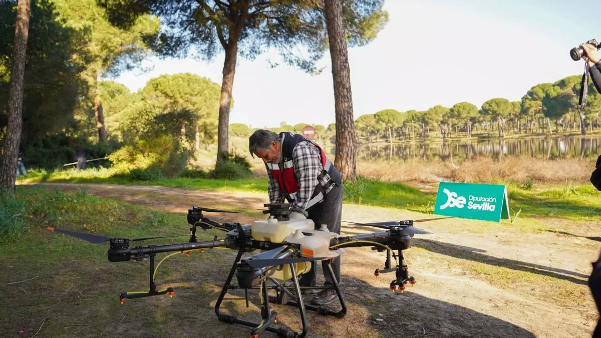 VÍDEO | Sevilla capital deja de estar en alerta por el virus del Nilo tras más de un mes y tres contagios