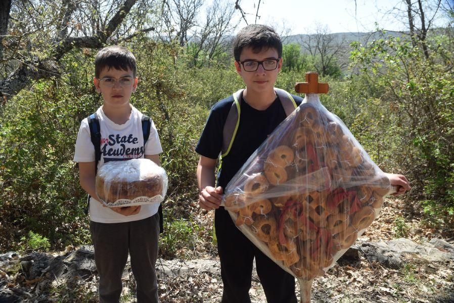 Romería de San Blas y San Mamés en Tábara