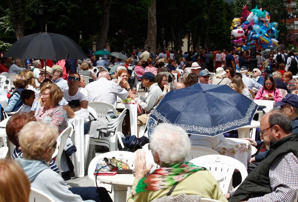 Martes de Campo en Oviedo