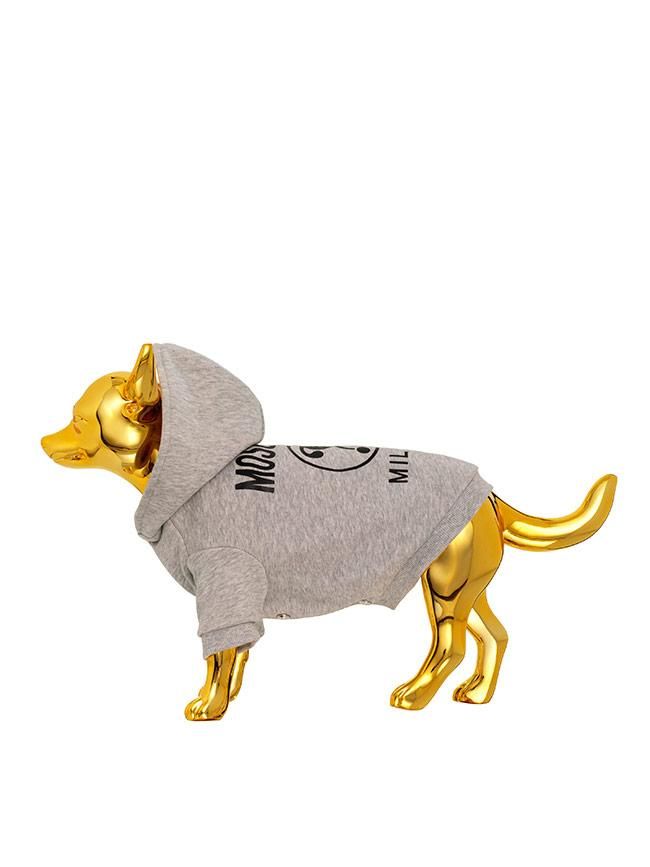 Todas las imágenes de la colección de Moschino x H&M: jersey para perro