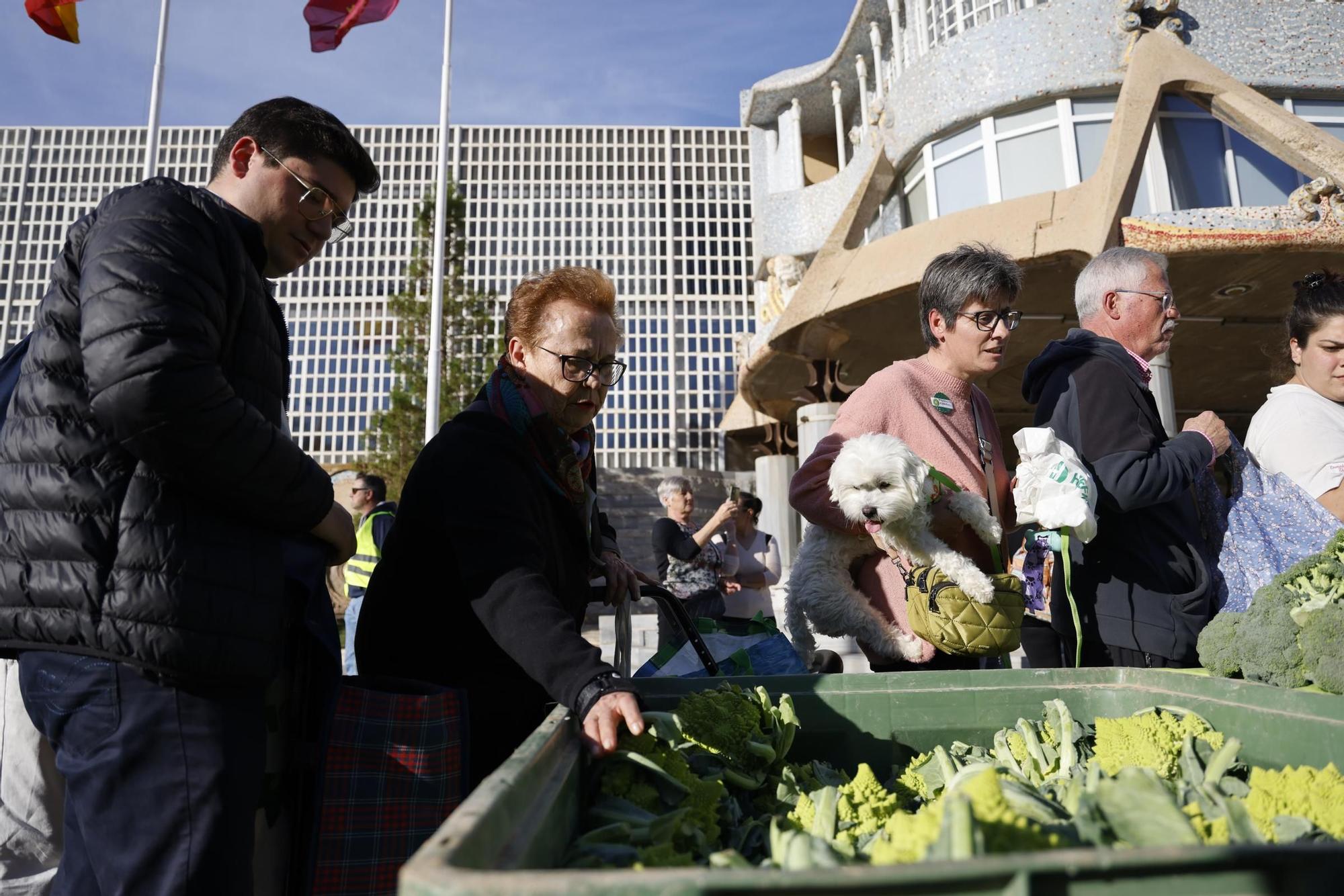 Las imágenes del plante de los agricultores frente a la Asamblea, donde han repartido frutas y hortalizas