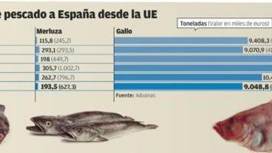 Reino Unido e Irlanda venden a España hasta un 70% de lo que pescan en aguas europeas