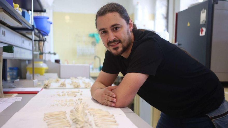 «Quien tenga fósiles de cocodrilo de As Pontes, que nos deje digitalizarlos»