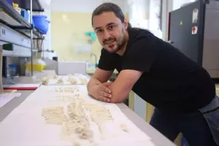 «Quien tenga fósiles de cocodrilo de As Pontes, que nos deje digitalizarlos»