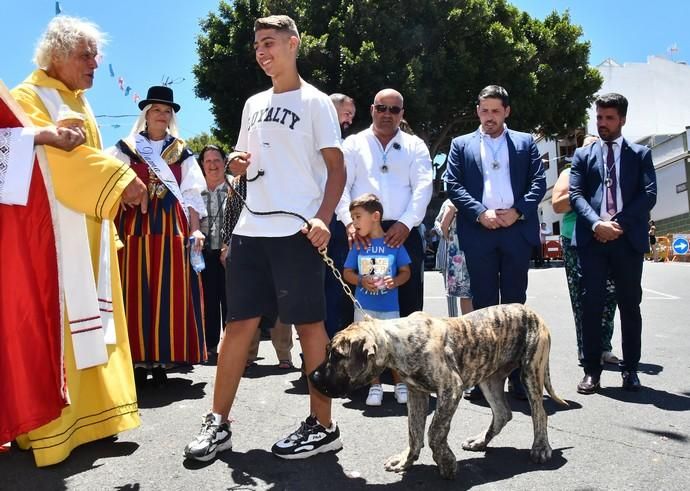 05/08/2019 LOMO MAGULLO. TELDE. Procesión de la Virgen de Las Nieves y pase de mascotas al finalizar el acto.   Fotógrafa: YAIZA SOCORRO.  | 05/08/2019 | Fotógrafo: Yaiza Socorro