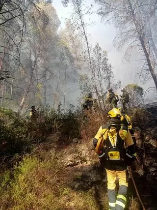 Controlados los incendios de Son Muntaner y s'Albufera