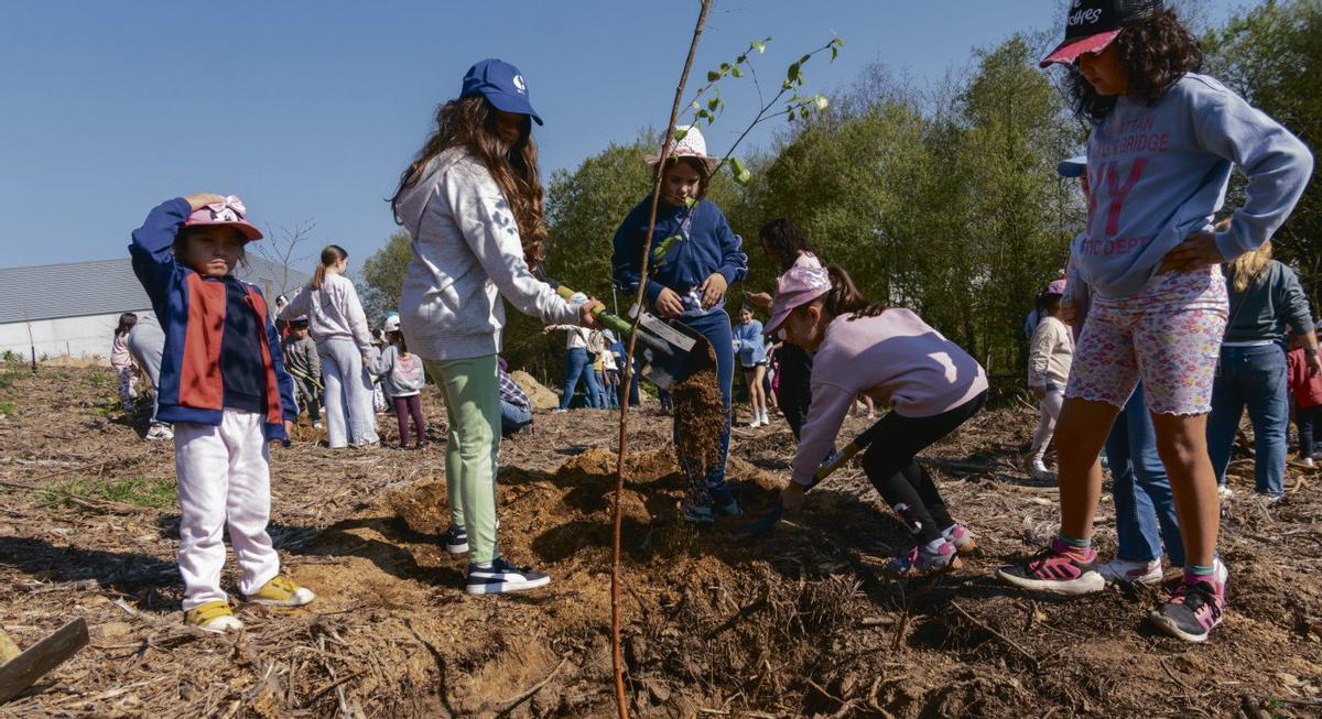 Una parcela en Nantes alberga el primer parque micológico | FDV