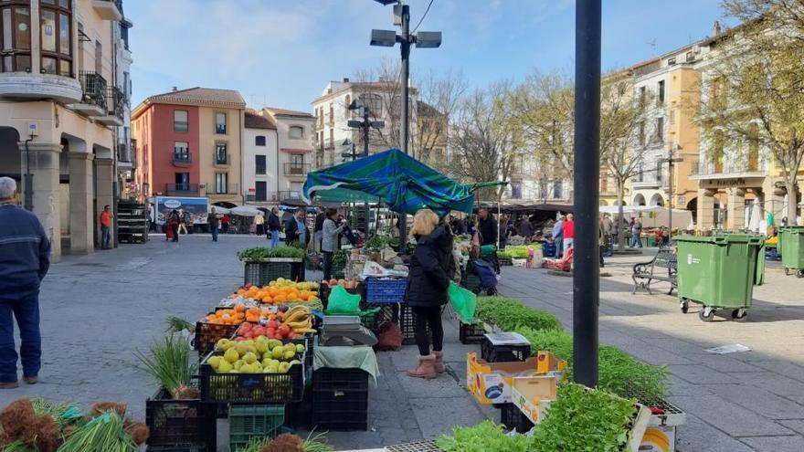 Plasencia estudia la vuelta del mercado de fruta, la próxima semana