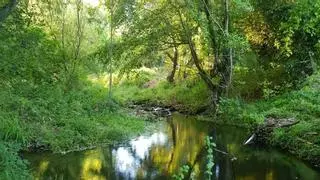 La ruta senderista de Sevilla perfecta para este septiembre repleta de cascadas, manantiales y molinos con siglos de historia
