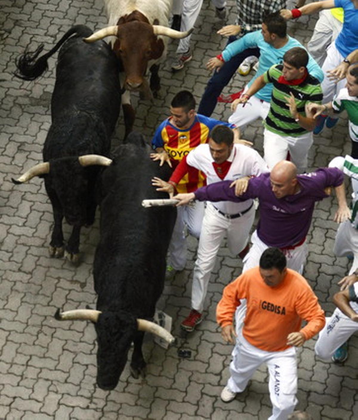 Els mossos corren davant dels toros de la ramaderia salmantina de Valdefresno.