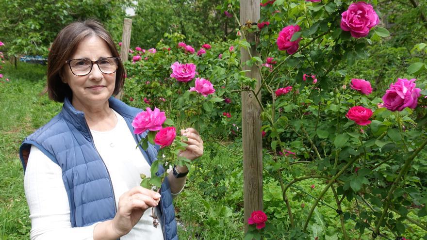 La &quot;rosa Narcea&quot; va camino de hacerse negocio de la mano de la multinacional suiza líder en el sector de las fragancias