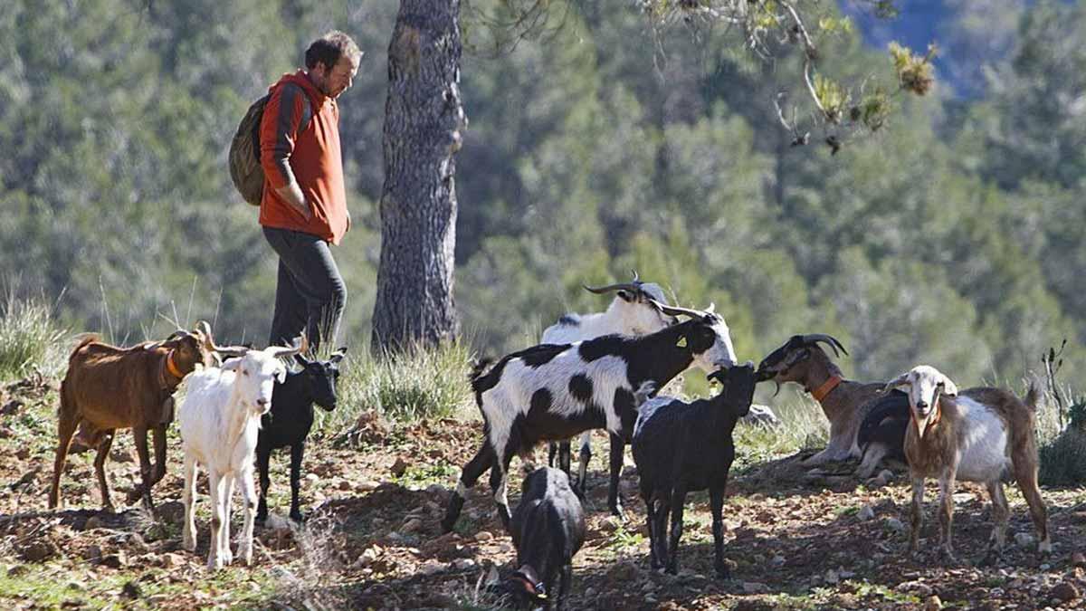 L’ofici més solitari esquiva la pandèmia