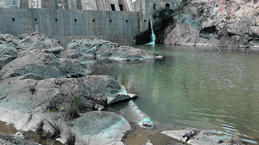 Apareix un gran silur al pantà de Boadella per primer cop i confirma les alertes ecologistes