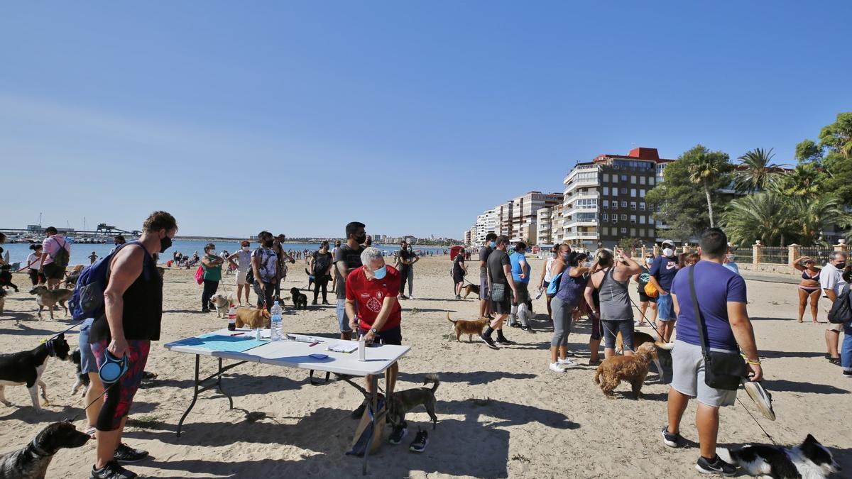 Protesta para reclamar "playas caninas dignas" en Torrevieja