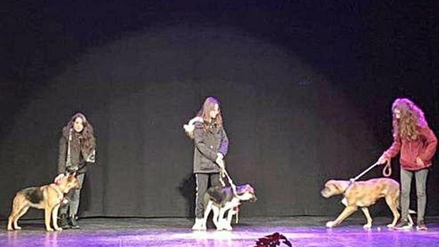 Voluntarias posan con las perras que esperan ser adoptadas durante la gala benéfica celebrada en el Teatro.