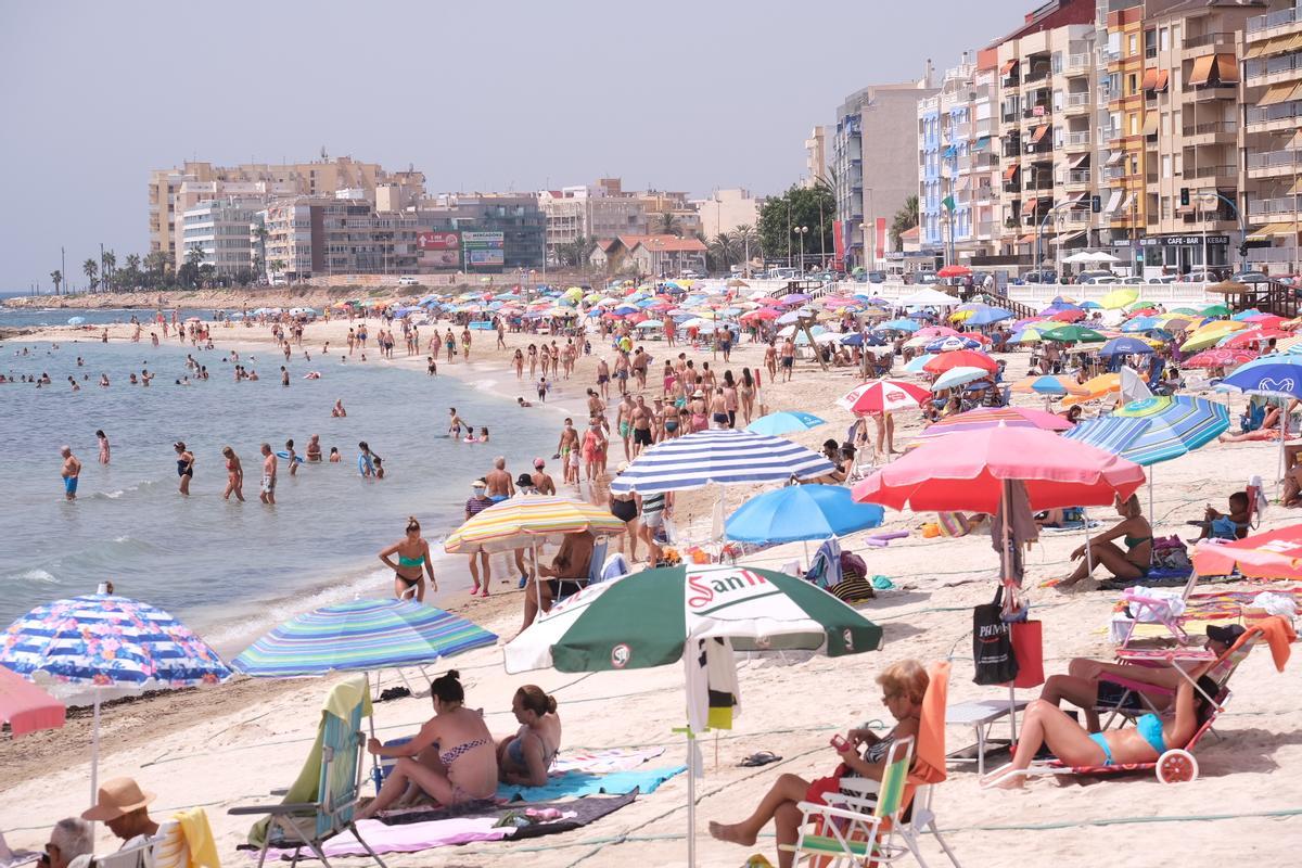 Población extranjera | ¿Dónde viven más extranjeros en Alicante? La Vega Baja lidera la lista