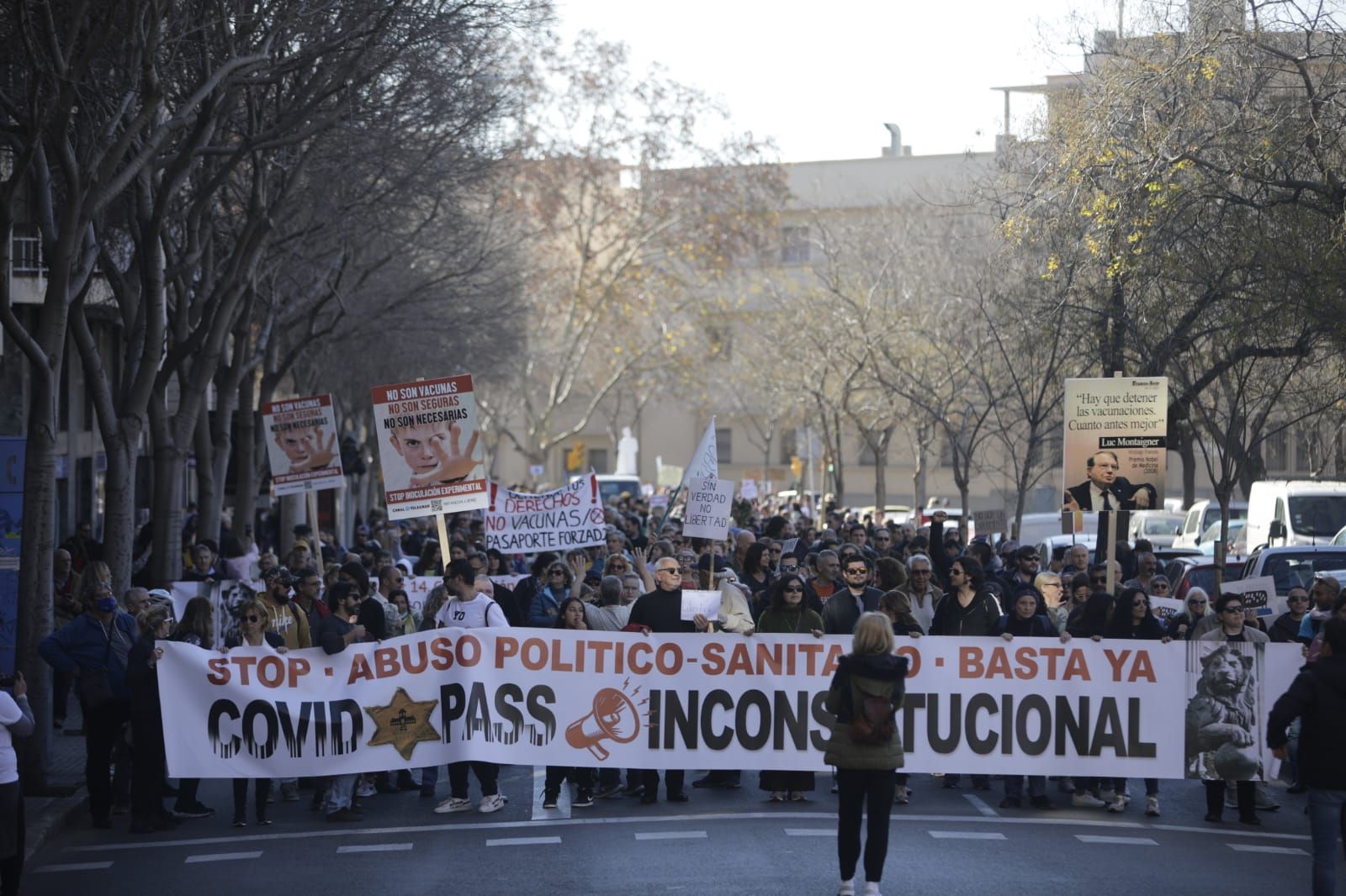 Cerca de 3000 personas se manifiestan en Palma contra el pasaporte covid