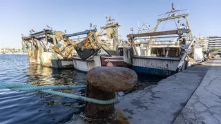 La UE estudiará recuperar días para la pesca de arrastre en 2026