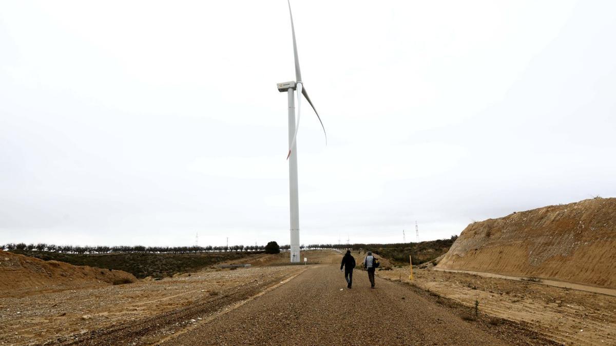 Colisión. Molinos de viento de las instalaciones de Romerales II, cercana al Parque Tecnológico de Reciclado (PTR). | ANDREEA VORNICU