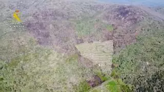 Quemas agrícolas sin control: ocho investigados por incendios forestales imprudentes en Cáceres