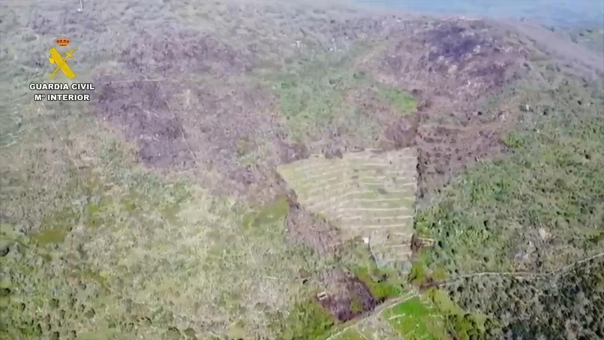 Video | Imagen aérea de un incendio forestal esclarecido por la Guardia Civil