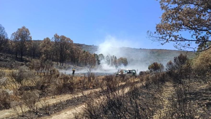 El incendio de la Culebra se reaviva en Villanueva de Valrojo y el de Vidriales en Ayoó