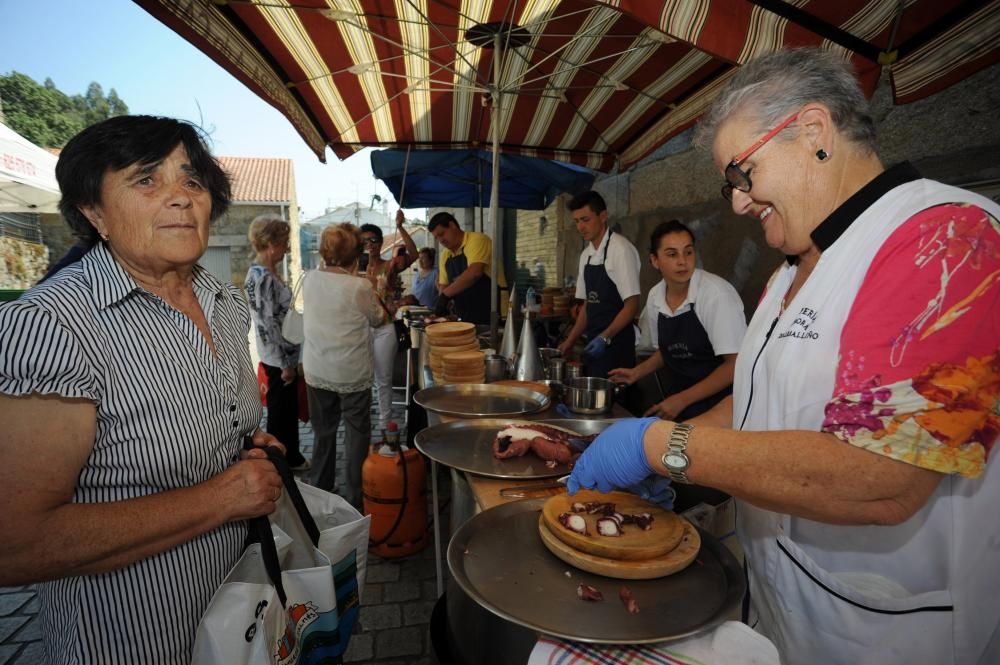 Pulpo y fe se fusionan en Santa Marta