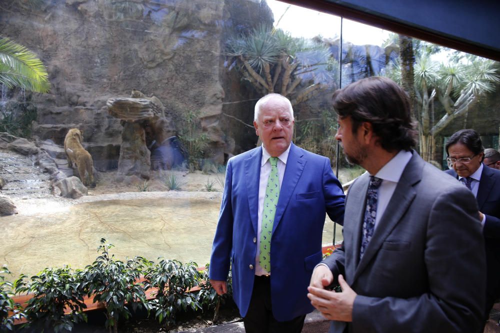 Delia Padrón Inauguración del Lion's Kingdom, la exhibición de los leones africanos, en Loro Parque