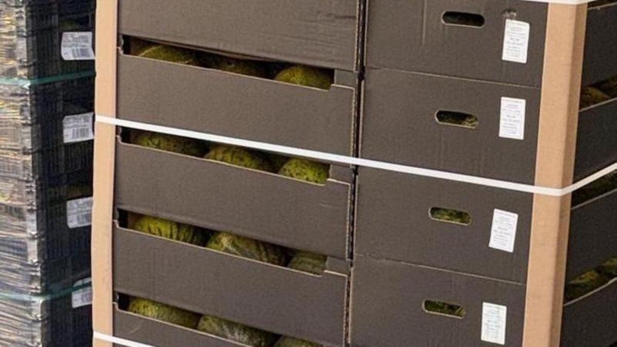 Algunas de las cajas de melones.