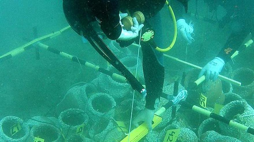 Un aula de arqueología bajo el agua en Xàbia