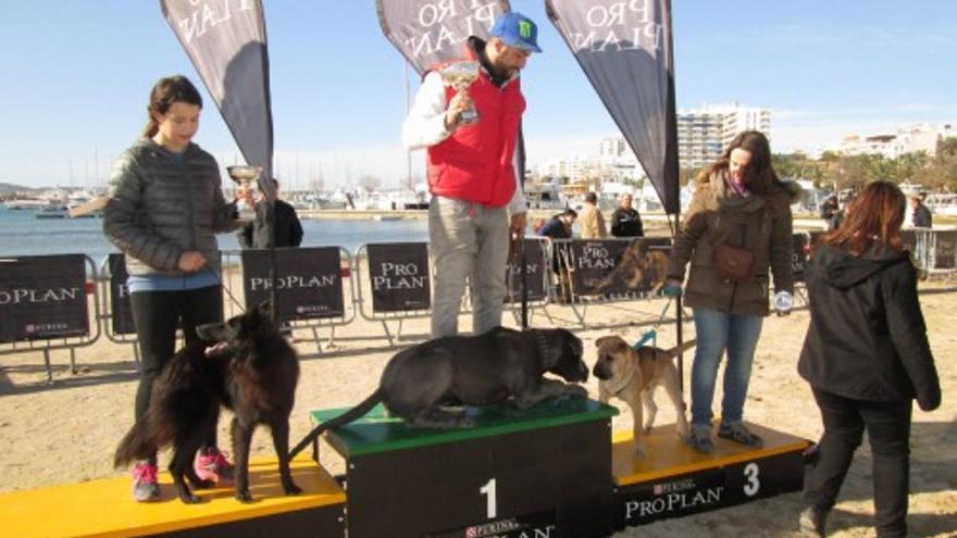 Concurso canino en s&#039;Arenal